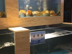 水产区-韩记海鲜饺子旗舰店(红海新区店)