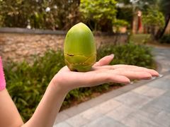 -沿江黎家簸箕宴·文昌鸡(百花谷店)