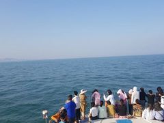 -日照灯塔风景区