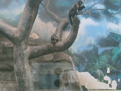 -石家庄市动物园