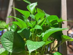 -食锦记·福建私房菜(浦西万达店)