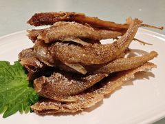 -老吉士(环贸iapm店)