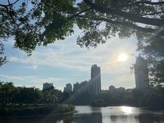 -深圳龙潭公园