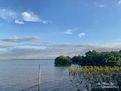 -宝安西湾红树林湿地公园