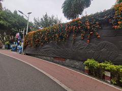 -仙岳公园