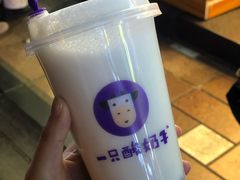 -一只酸奶牛(八一路店)