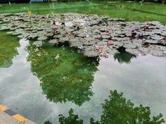 -静安公园(静安寺街道)