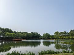 -东郊湿地公园