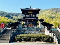 -大唐贡茶院