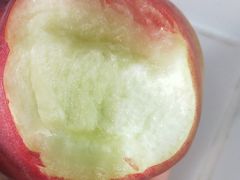 -田趣农庄草莓采摘园