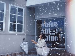 -Blue Concept Cafe&Farm·關於藍
