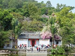 -深圳国际园林花卉博览园