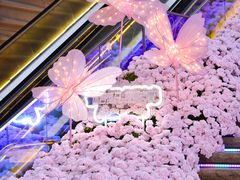 -万科生活广场(东莞松山湖店)