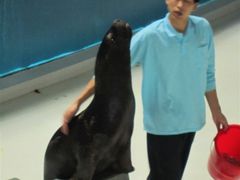 -泉城欧乐堡海洋极地世界