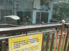 -九龙公园