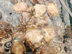 -海天盛宴潮汕蒸汽海鲜高端自助形象店