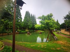 -乌村