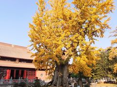 -苏州碑刻博物馆