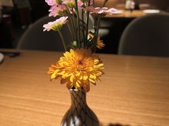 -初花·日本料理