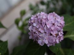 -懒鱼时光馆(沙坪坝店)