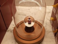 -Cafe Sacher(WIEN)