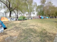 -长白岛森林公园