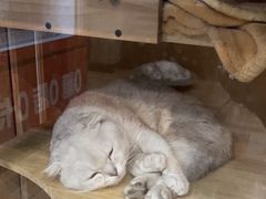 -悠米私人影院(街道口店)