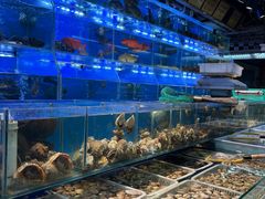 -岳各庄批发市场(西四环中路店)