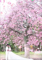 -色色婚纱摄影(大沥旗舰店)