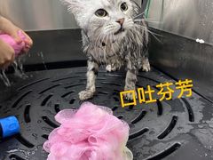-达爱动物医院·犬猫分区·CT·复杂眼科(远洋山水分院)