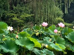 -云龙湖旅游景区