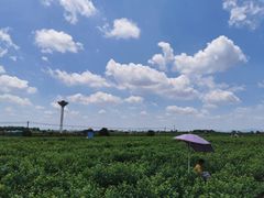 -余师傅鱼生王