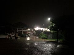 -闻道食府烙饼卷带鱼(原车耳营店原大觉寺店)