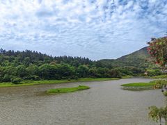 -九鲤湖风景区