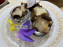 -紫· 割烹  Kappo Murasaki