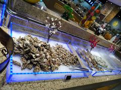 -和谐号(全运路万达店)