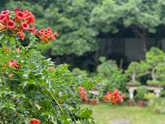 -太平天国历史博物馆(瞻园)
