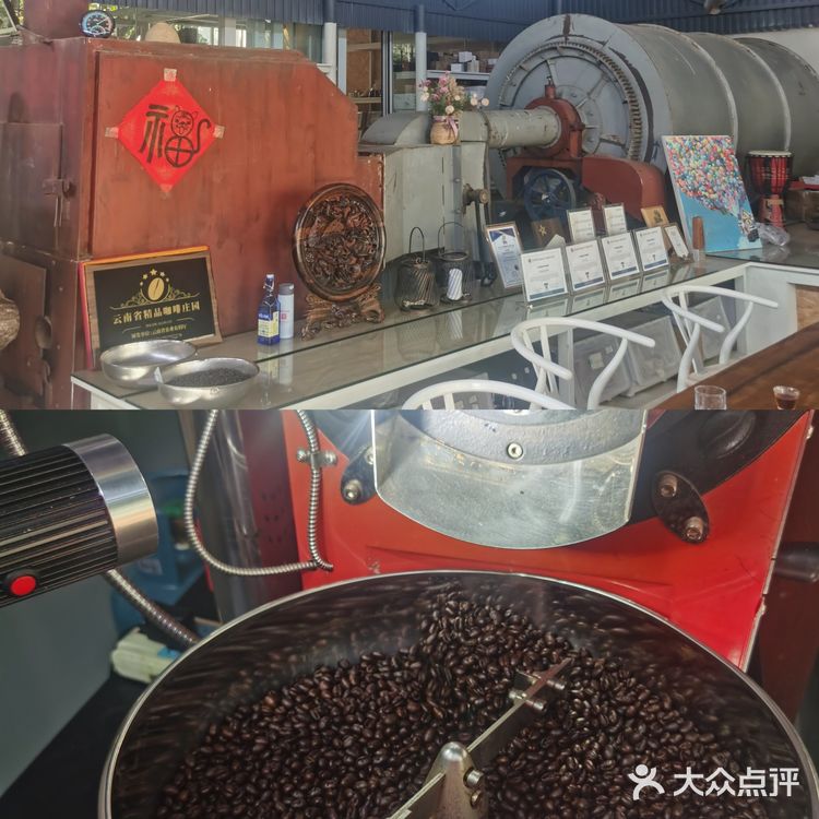 云南保山～潞江坝～小众咖啡庄园2～