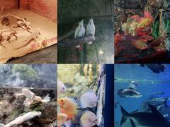 -多彩贵州城极地海洋世界