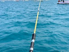 -小猫钓鱼海钓俱乐部(椰梦长廊店)