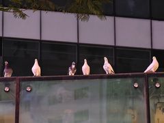 -中航城君尚购物中心