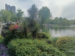 -北湖公园