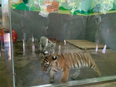 -西安秦岭野生动物园