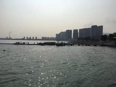-大亚湾红树林城市湿地公园