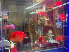 -小吊梨汤·北京菜·烤鸭(清河万象汇店)