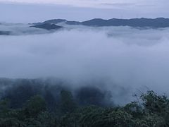 -莫干山风景区