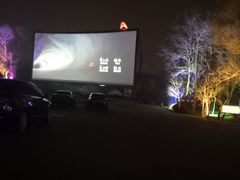 -枫花园汽车电影院(朝阳公园店)
