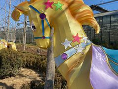 -南宫五洲植物乐园