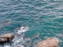 -广东惠东海龟国家级自然保护区