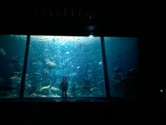 -银兴国际影城(永旺梦乐城吴中店)